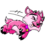 Pink Ixi