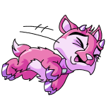 Pink Ixi