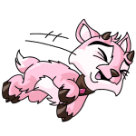 Pink Ixi