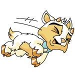 White Ixi