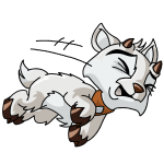 White Ixi