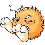 Orange Jubjub