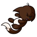 Brown Kacheek