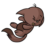 Brown Kacheek
