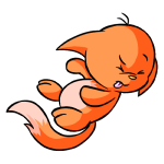 Orange Kacheek