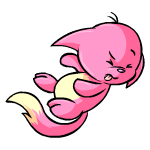 Pink Kacheek
