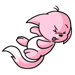 Pink Kacheek