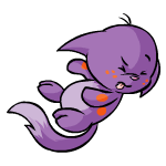 Purple Kacheek