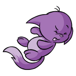 Purple Kacheek