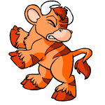 Orange Kau
