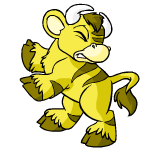 Yellow Kau
