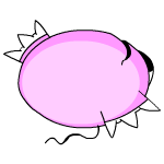 Pink Kiko