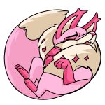 Pink Kitzen