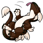Brown Kohmo