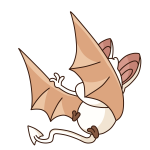 Cream Korbat