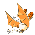 Orange Korbat