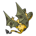 Spotted Korbat