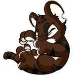Brown Kougra