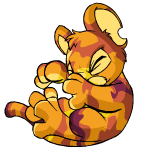 Camouflage Kougra