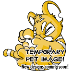 Island Kougra