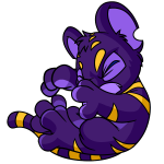 Purple Kougra