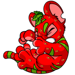 Strawberry Kougra