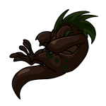 Brown Krawk