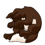 Brown Lupe