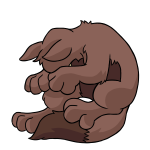 Brown Lupe