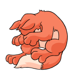 Orange Lupe