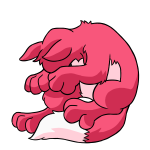 Pink Lupe
