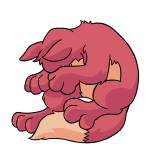 Pink Lupe