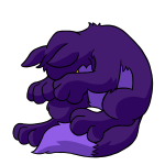 Purple Lupe