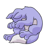Purple Lupe