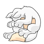 White Lupe