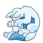 White Lupe