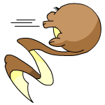 Brown Meerca