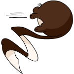 Brown Meerca