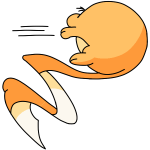 Orange Meerca