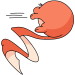 Orange Meerca