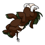 Brown Moehog