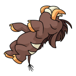 Brown Moehog