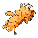 Orange Moehog
