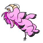 Pink Moehog