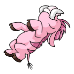 Pink Moehog