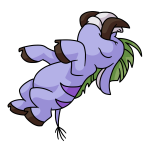 Purple Moehog
