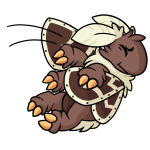 Brown Motere