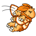 Orange Motere