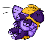 Purple Motere