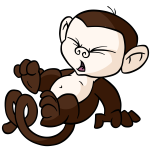 Brown Mynci